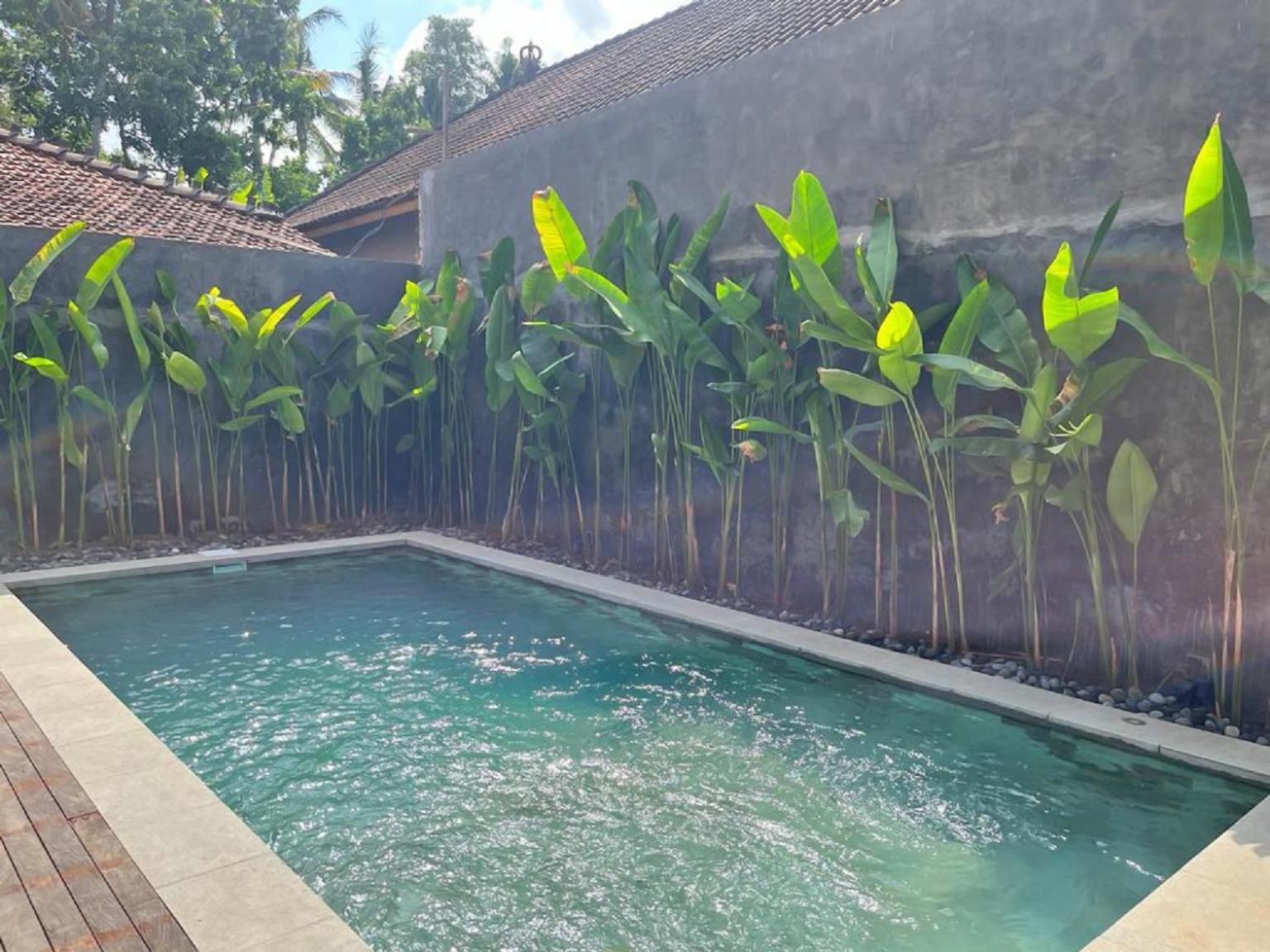 Pondok Eka Wood Ubud Rom bilde